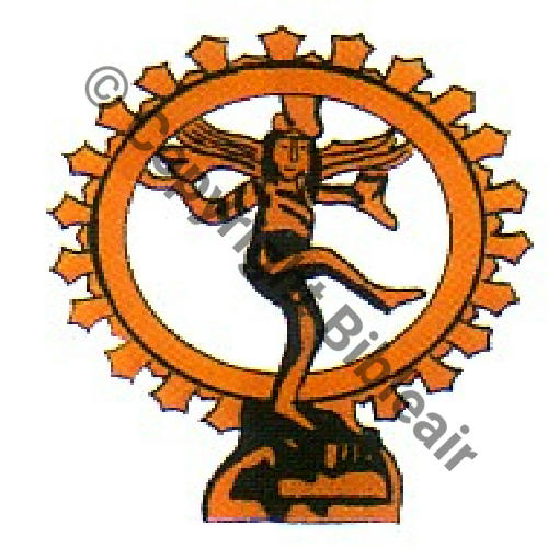 243 FUS BR243