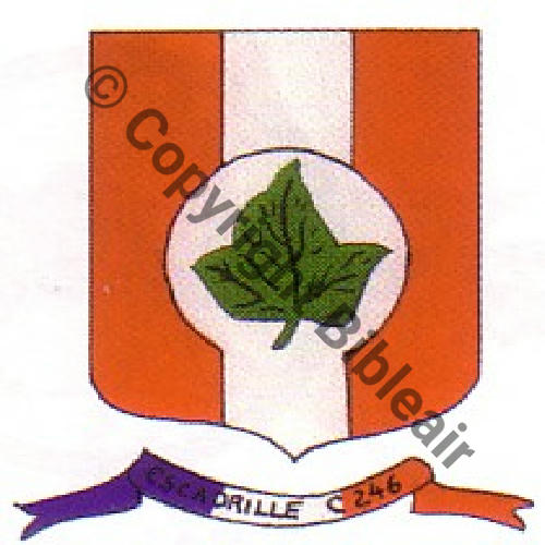 246 FUS BR246