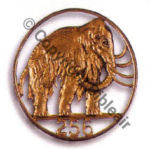 256 SAL Laiton dore