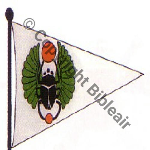 271 FUS BR271