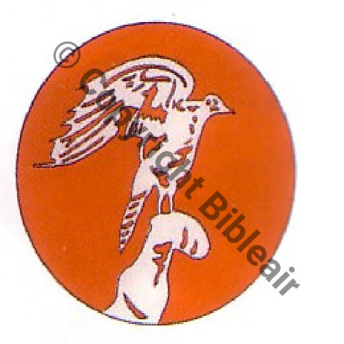 284 FUS SOP284