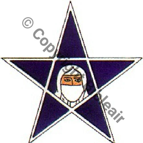 553 FUS F553