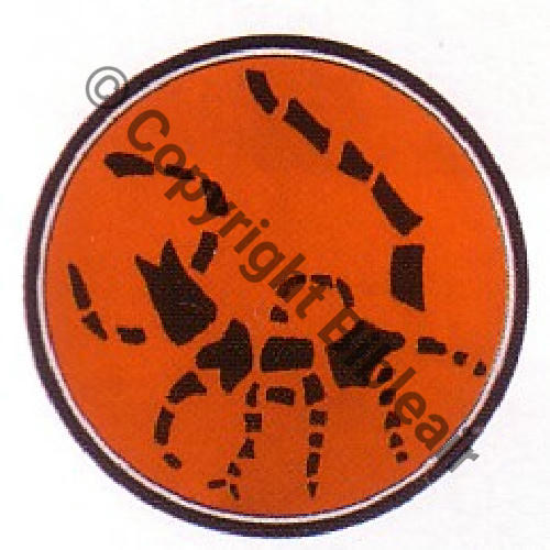 554 FUS F554