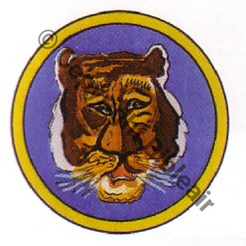 571 FUS V571