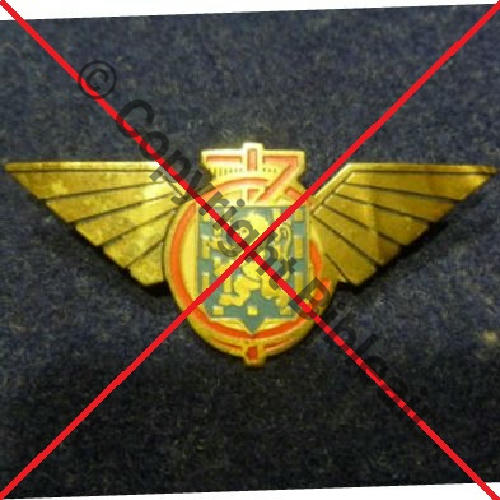 CIVIL INCONNU 3IO... et non pas FAFL  SM Broche a bascule Dos lisse Sc.dhieretaujourdhui 89Eur(x2) 