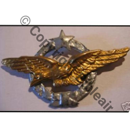 BREVET INSIGNE BRICOLE...