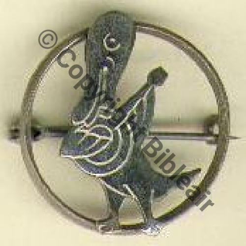 CANARD MANDOLINE Aucune info si Air 87Eur12.06