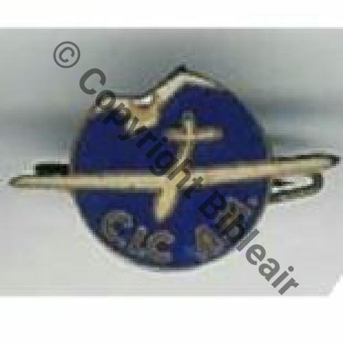CIC AM  SM