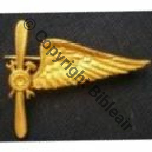 INSIGNE DE SPE OU DE CALOT MECANO..  SM Dos lisse Sc.valislaeta  47Eur08.07 