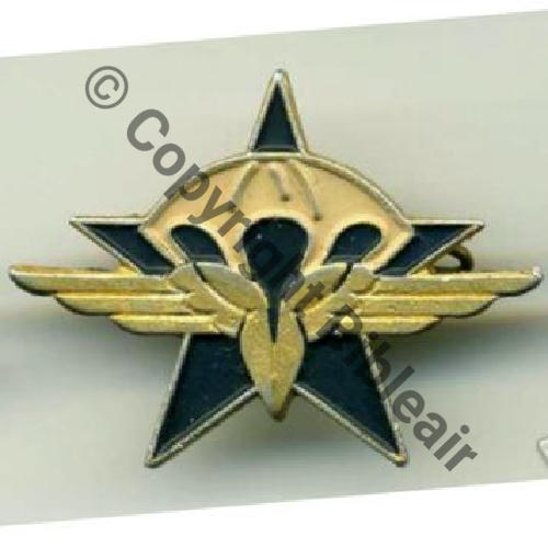 1er RCP Indo ou Cie PARA du 601e GIA SM (AUGIS) 2Griffes Granuleux Alu Peint 175Eur Invendu