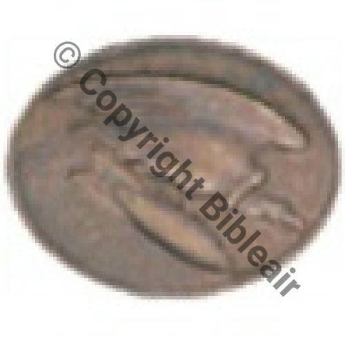 207e DRILLE 1er RB  BR44  SM 1100Eur selon LAVOCAT  PLUS PROCHE DU BR 207 QUE BR44 