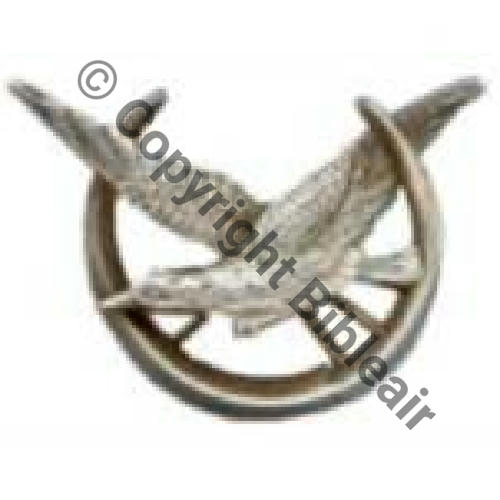 Armee Air non identifie 3eme EC SUD MAROC.... DLEZIN