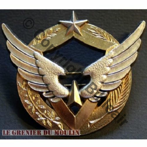 BREVET PILOTE ou Ing Nav Essai DGA...  DrP 2Anneaux Grains 65x60mm Sc.pyrogene 25EurInv 