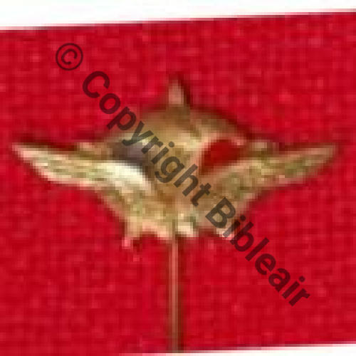 Epinglette Bataillons air ... Fab Brit... Cuivre peint 15Eur Invendu