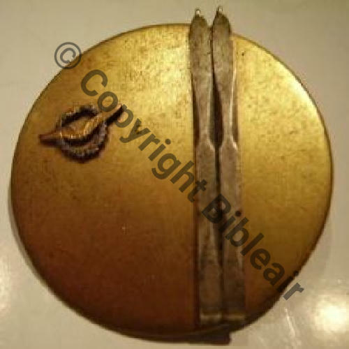 SKI  SM Dos lisse  irreg Bol allonge skis et brevet sertis Sc.turebosed 10Eur09.08