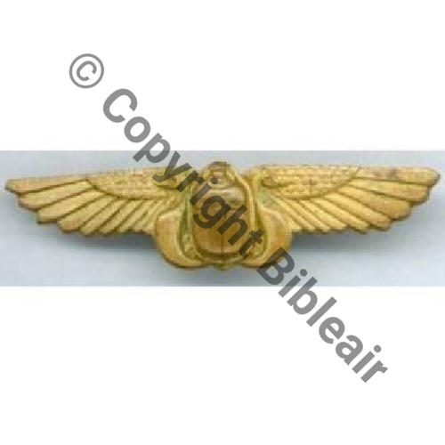 TRANS ou BOMBARDEMENT Amicale... Eping bascule Dos lisse Embouti au centre Sc.gandoul 22Eur01.07