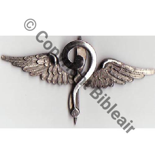 016  INS SOUVENIR SAL.16 Gros Point Interrogation Argente  Ailes non a plat  SM  70x35mm Sc.kepirouge 48Eur09.09