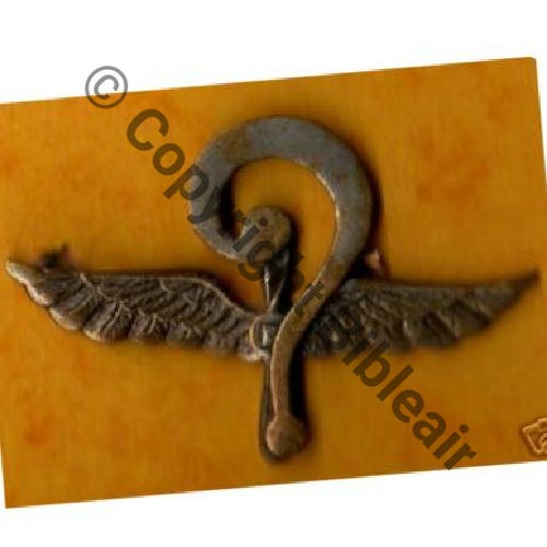 016  INS SOUVENIR SAL.16 Gros Point Interrogation Cuivre  SM Dos lisse Eping bascule 48Eur01.06