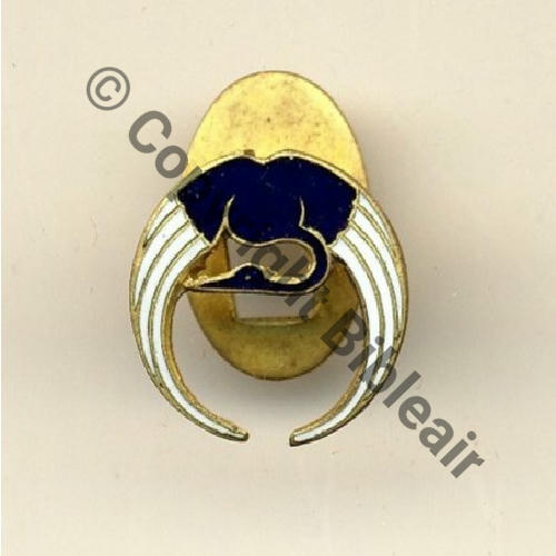 BOUTONNIERE  AVIONS HENRY POTEZ  SM  Sc.zitocland 