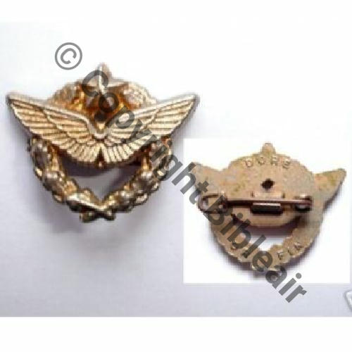 BOUTONNIERE  INS PILOTE Dore or fin 22x18mm Sc.sous le charme 