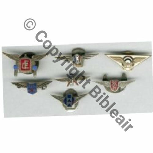 BOUTONNIERE INCONNUS  ailes1 DLEZIN - Copie