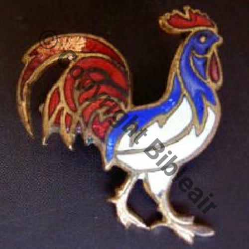 COQ NON AIR BROCHE  SM Attach bijoutier Sc.ledemisolde 4Eur11.11 