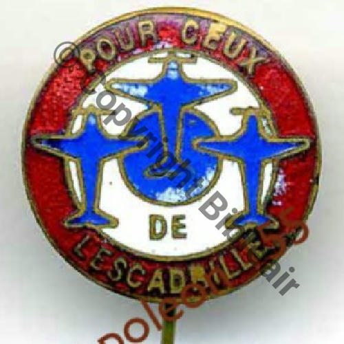 EPINGLETTE POUR CEUX DE ESCADRILLE 