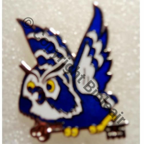 HIBOU AMICALE GAM56 EVREUX 25mm Attache PINS FIA LYON Src.broussard 10EurInv