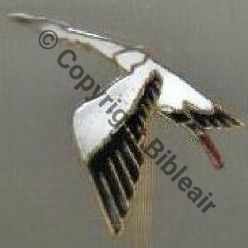 HISPANO SUIZA EPINGLETTE  Ins calot