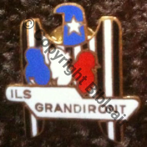 PINS  ECOLE DE PILOTAGE  AUX USA PINS  SM Attach PINS MINIATURE COMMEMO.. Sc.cedrik65 50Eur02.11 