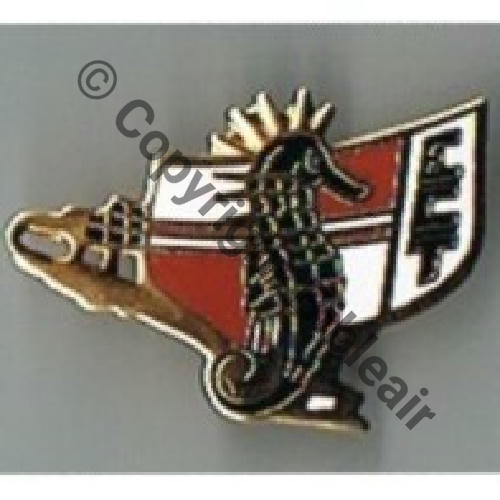 PINS ESCADRON CONTROLE TACTIQUE Src.celtische 10Eur05.12 