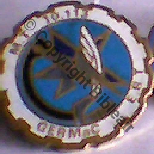 PINS MT.10.113  ST.DIZIER Sc.baiedesanges06300