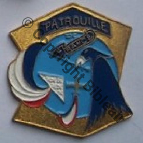 PORTE CLEF PATROUILLE FRANCE souvent bricole en insigne FAUX Src.amadis630 