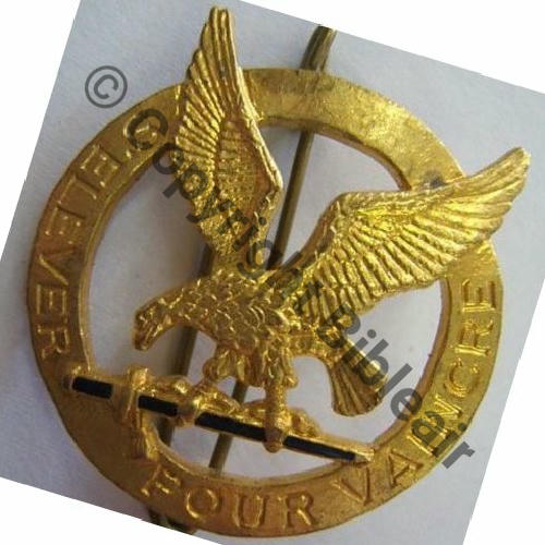 A0973 ESCADRON ELEVES SS.OFF GE.318 NIMES  DrP 2Anneaux Dos pointille DORE Sc.leberetvert 15EurInv 
