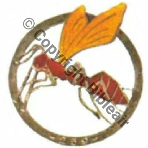 A1198 1932.40  A1198NH SAL.259 4eDRILLE GR.2.54 1932.40  GBA.2.54 1940 Sc.SHD