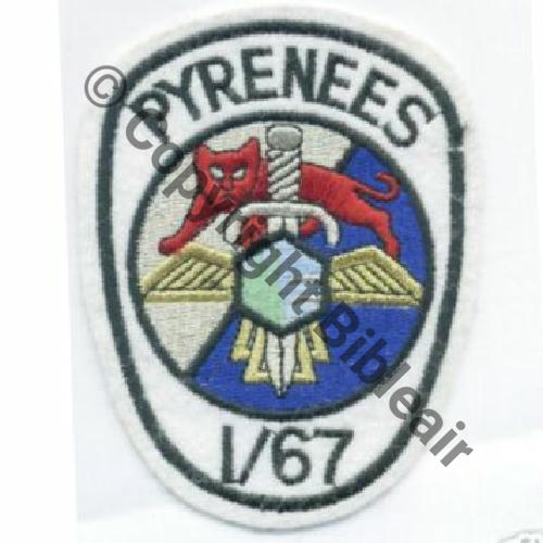 67  EH.1.67 PYRENEES CAZAUX Type1 Sc.wgolan