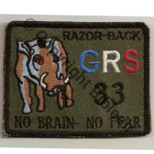 CPA.30  RAZOR BACK GRS33 Sc.zozor53 16Eur09.09