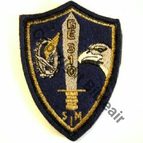 SECTION INSTRUCTION MILITAIRE GE.310