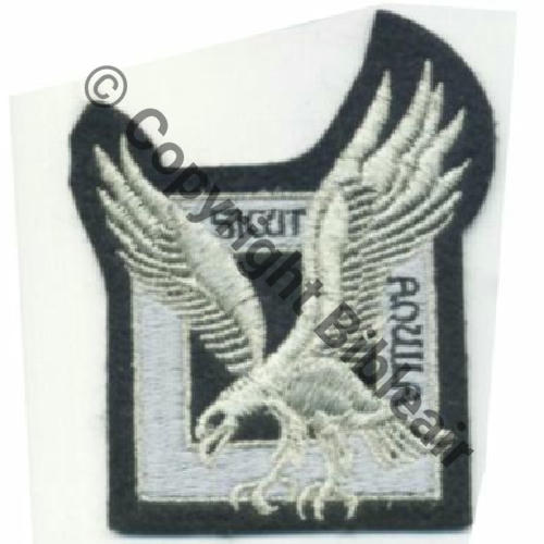 SICUT AQUILLA Sc.wgolan