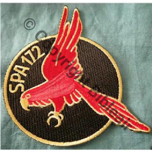 SPA.172 Sc.jpam2a 6Eur11.08