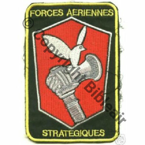 FAS Type2