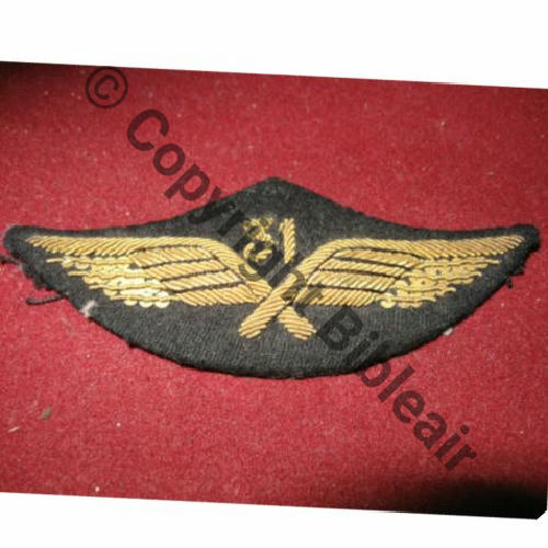 AILE CASQUETTE 31e ESCADRE 1939.45 Src.colonelbrocard 232Eur10.12 