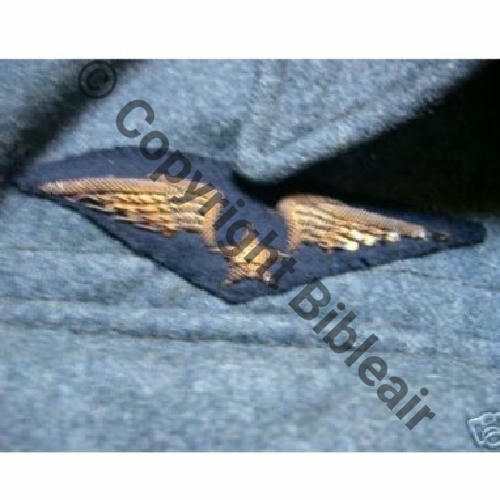 AILE PILOTE BATTLE DRESS FAFL AILE Sc.gustou29