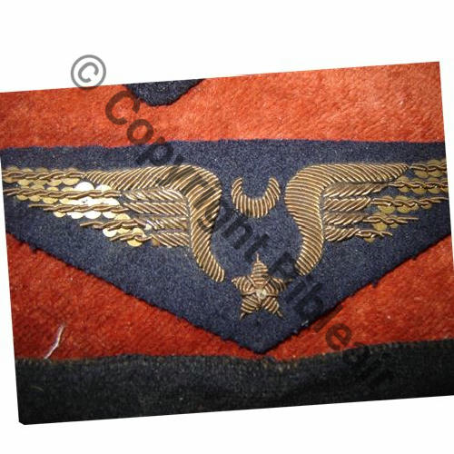 AILE POITRINE ARMEE AFRIQUE 34.39... Src.pilotes27 63Eur01.16