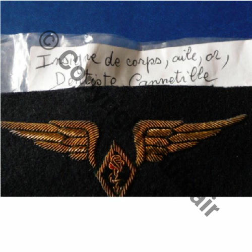 AILE POITRINE DENTISTE  CANETILLE Src.chri.nali 15Eur05.17 