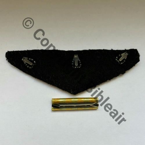 AILE POITRINE IPSA INDO 50.60  Src.lepoiluparis 46Eur05.12 