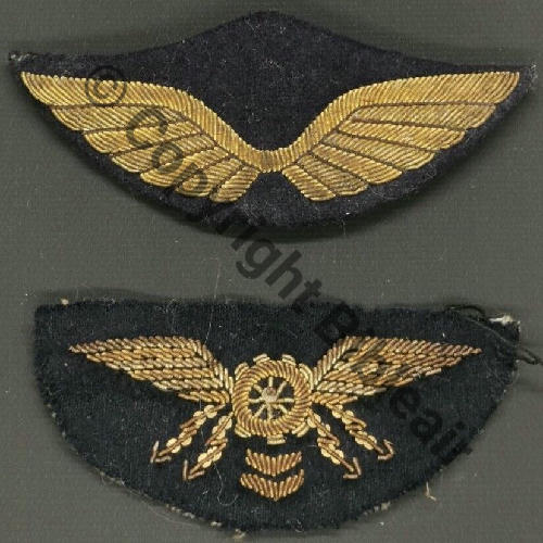 AILE POITRINE MECANICIEN ELECTRICIEN 1934 et AILE CASQUETTE 2 CHEVRONS Src.frenchflair 25EurInv 