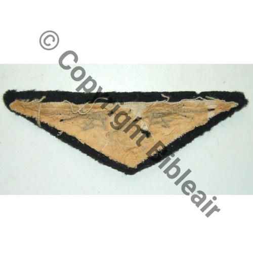 AILE POITRINE MUSICIEN CANNETILLE Src.lantredudragon 15Eur06.26 