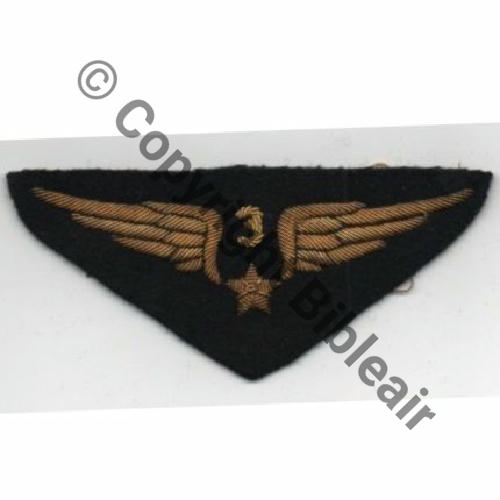 AILE POITRINE PILOTE 3e EC... CANNETILLE Src.fc2184 31Eur02.14 