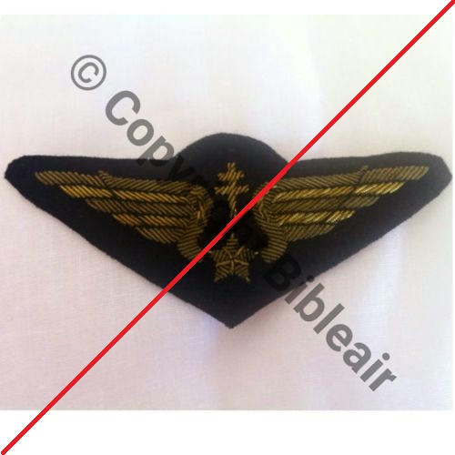 AILE POITRINE PILOTE FAFL Brode cannetille  Src.doria1969 87Eur(x2) 